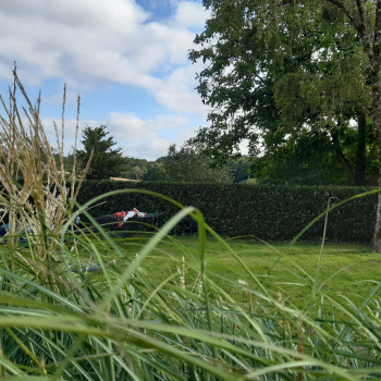 entretien de jardins Vannes, Golfe du Morbihan